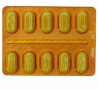 Mascota adulta , espíritu joven