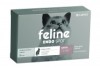 Thumbnail Feline Endospot0