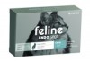 Thumbnail Feline Endospot0
